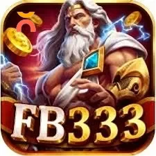 fb333